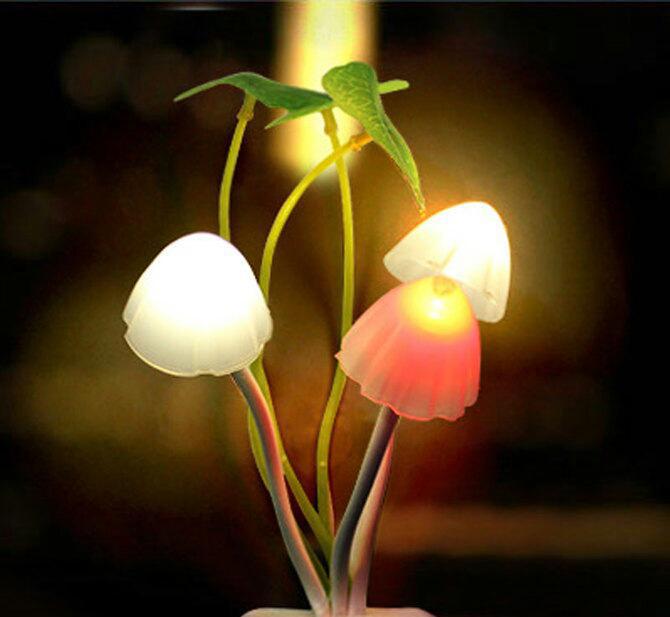 小夜燈檢測 小夜燈檢測